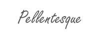 logo-5
